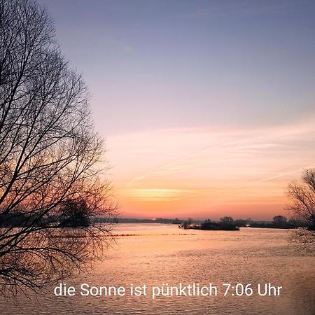 Zur Nachtigall Damnatz 외부 사진